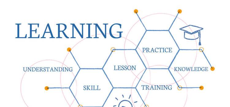 Customizing Instruction with an LMS Portal