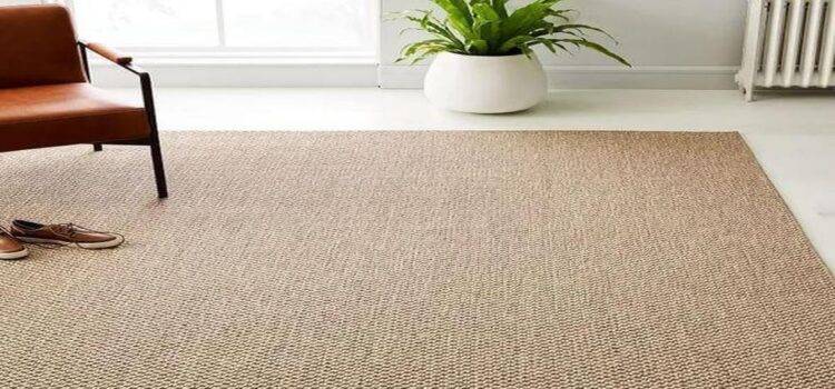 Sisal Carpets are A Natural and Sustainable Choice for Your Home