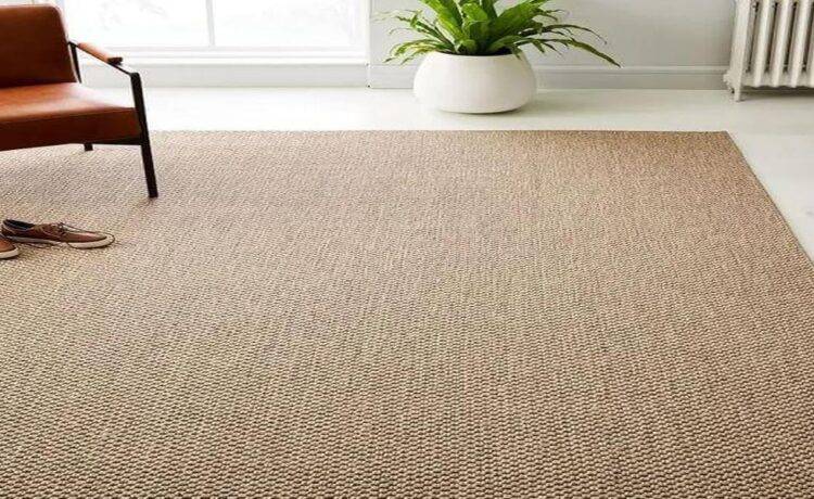 Sisal Carpets are A Natural and Sustainable Choice for Your Home