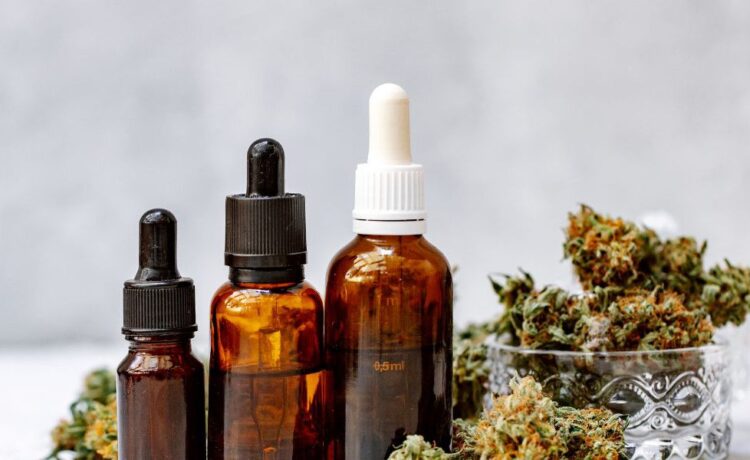 Ottawa's Cannabis Scene