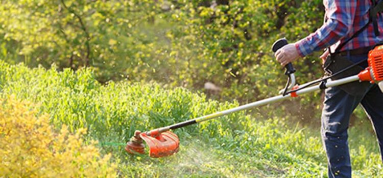 Regular Garden Maintenance