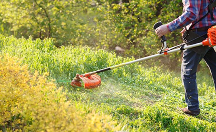Regular Garden Maintenance